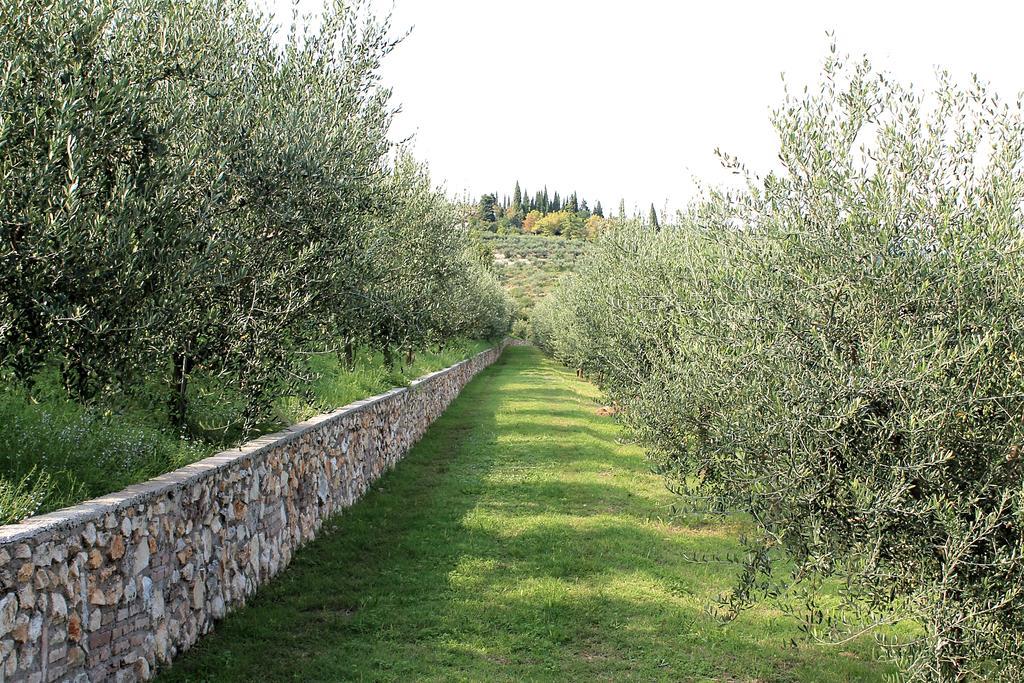 Ca' Dei Coci B&B San Martino Buon Albergo Bagian luar foto