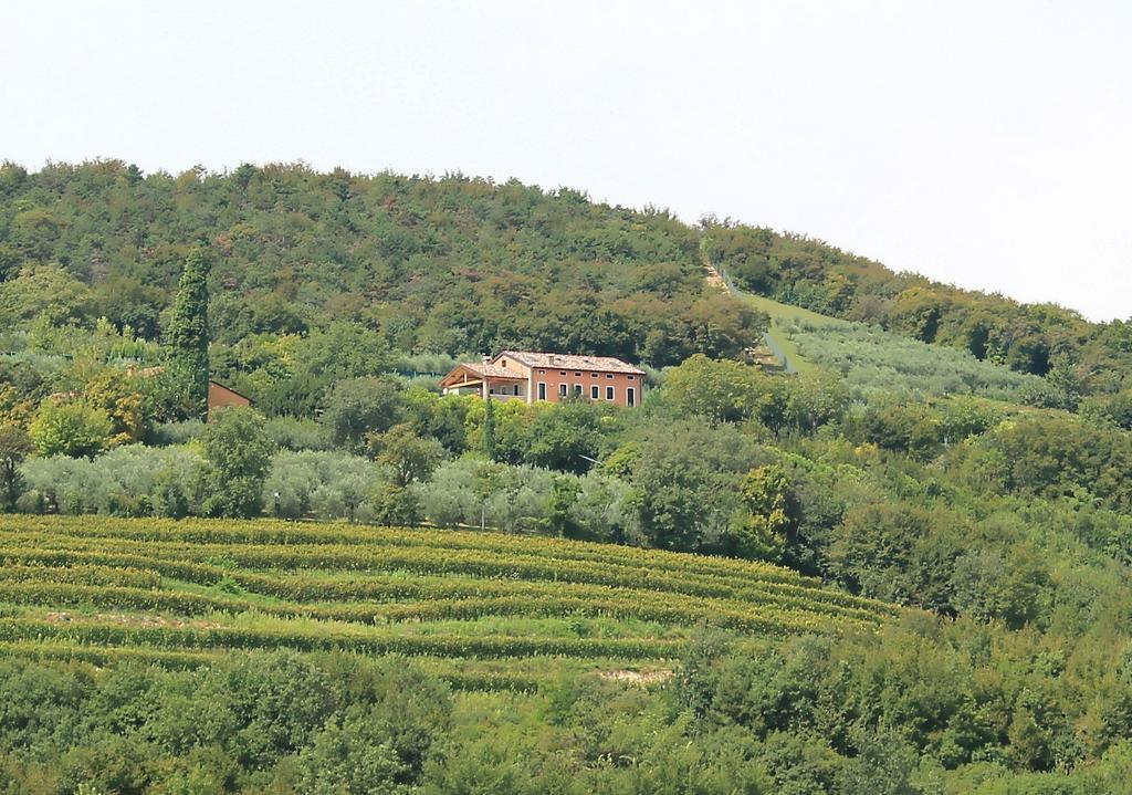 Ca' Dei Coci B&B San Martino Buon Albergo Bagian luar foto