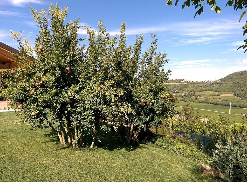 Ca' Dei Coci B&B San Martino Buon Albergo Bagian luar foto